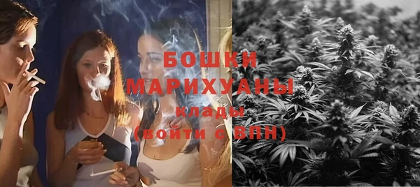 прущая мука Дмитриев