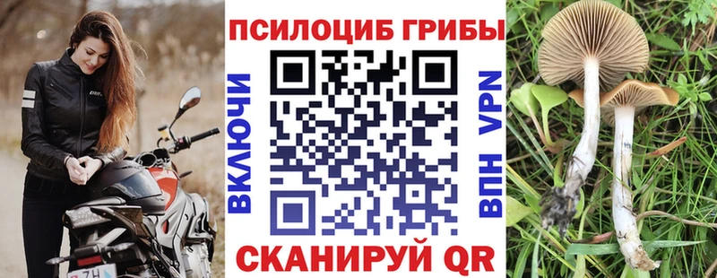 Купить закладки  Нурлат  Галлюциногенные грибы MAGIC MUSHROOMS 