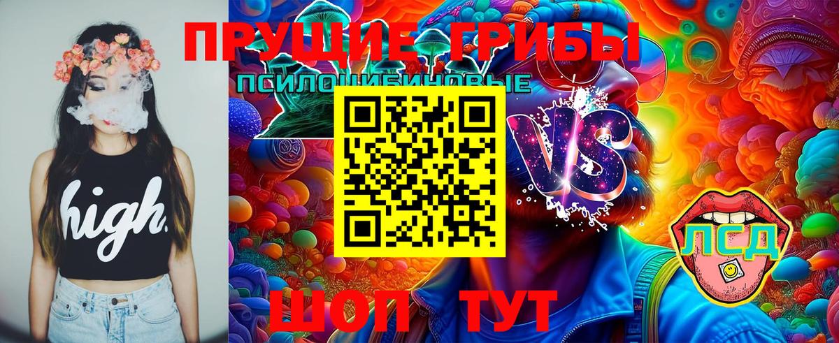 Псилоцибиновые грибы MAGIC MUSHROOMS  цена   Псилоцибиновые грибы Psilocybe  Нурлат 