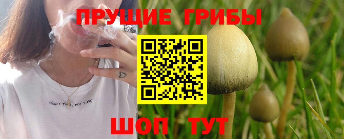 Нурлат  где найти   Вход с VPN  Псилоцибиновые грибы Magic Shrooms 